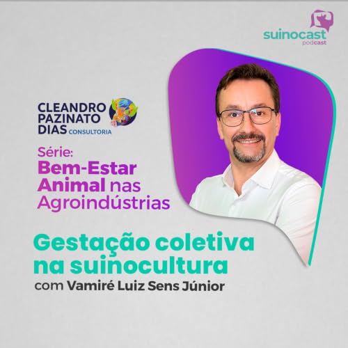 GESTA&Ccedil;&Atilde;O COLETIVA NA SUINOCULTURA - Vamir&eacute; Luiz Sens J&uacute;nior | Ep. 378