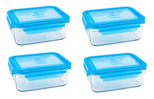 Wean Green Meal Tubs 36oz/1090ml Glass Food Storage Containers - Blueberry (Set of 4)