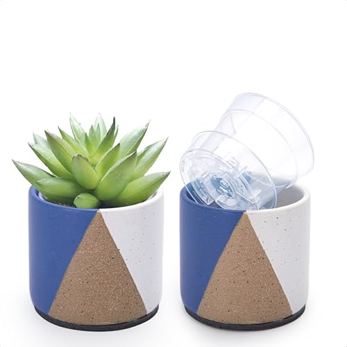 D'vine Dev Cachepot Set with Nursery Pots