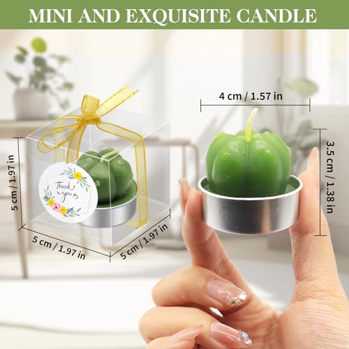 Bougies succulentes pour table de fête : la solution déco sans plastique - 2
