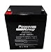 Beiter DC Power Sealed Lead Acid Battery 12V 5.0AH with F2 Terminal