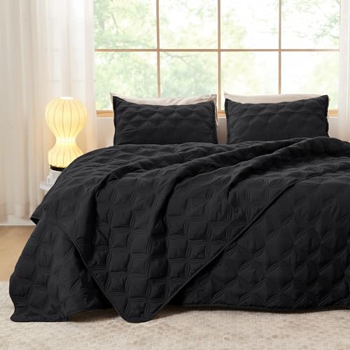 Image of Litanika Queen Quilt Bedding Set, Black Summer Lightweight Soft Comforter Bedspreads & Coverlets, Boho Farmhouse Bedding Cover Bed Decor All Season, 3 Pieces (1 Quilt, 2 Pillowcases)