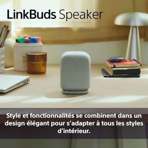 Sony Enceinte LinkBuds - Enceinte Portable sans Fil Bluetooth, IPX4, Résistante à l'eau, Batterie de 25 Heures, Qualité d'Appel Clair, Outdoor, Voyage - Noir