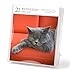 Cat Page-A-Day® Gallery Calendar 2027: A Delightful Gallery of Cats for Your Desktop