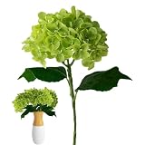Mantenimiento sin complicaciones: sus flores artificiales de hortensias permanecen limpias y cuidadas gracias a un revestimiento impermeable en su superficie. Enjuague suavemente con agua limpia para eliminar el polvo y mantener su buen aspecto.