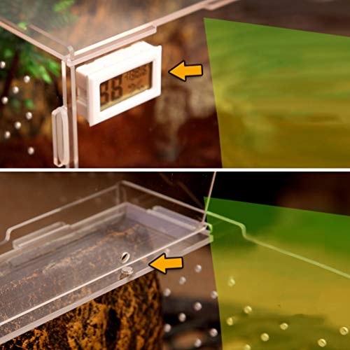 Mantis Breeding Box Acrylic Reptile Feeding Box Creeper House Terrarium Containers for Mini Pet Animal - Image 3