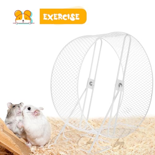 Roue de hamster silencieuse en fer forgé anti-blessure avec support stable - 6
