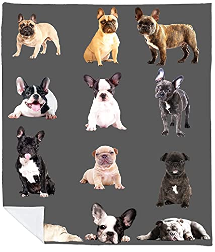 French Bulldog Gift – French Bulldog Blankets – French Bulldog Blanket Throw – French Bulldog Print – Sherpa Fleece – Frenchie Gifts – French Bulldog Bed Accessories – French Bulldog Blanket