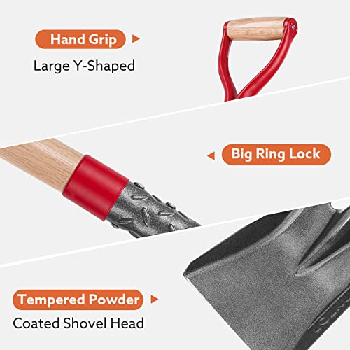 HANTOP Heavy Duty Short Handle Square Flat Transfer Shovel for Gardening,Yard Work,Farming,Construction, 43 inches - Image 3