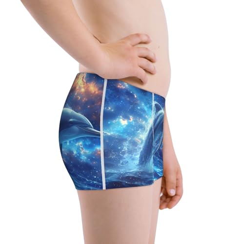 Boys' Cotton Boxer Brief Soft Underwear-Beautiful Ocean Dolphin2