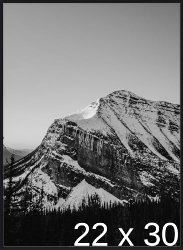 Frame It Easy 22 x 30 Satin Black Metal Frame (Ashford)