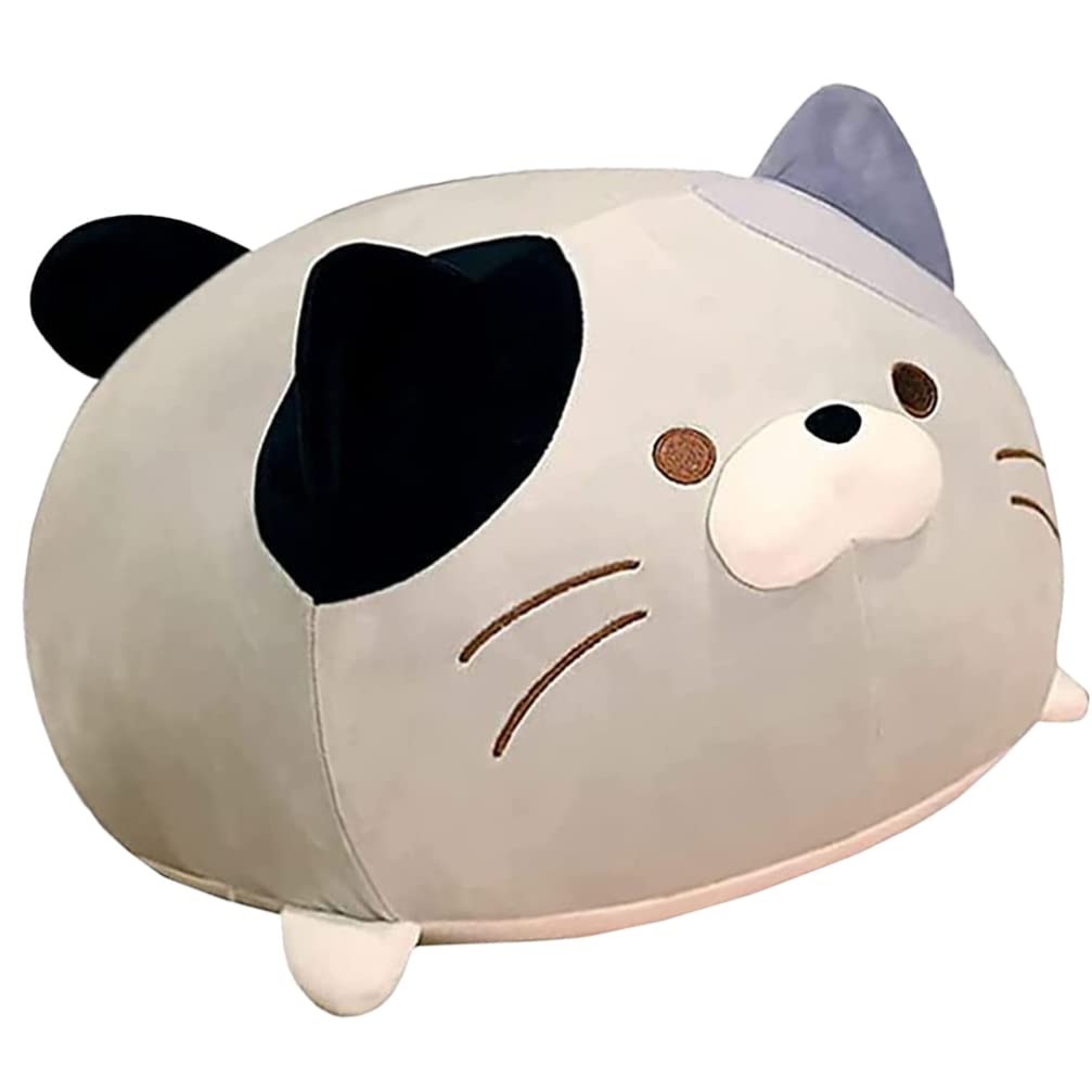 生後２０日♡トラ柄子猫ちゃん♡お昼寝セット♡アートドール♡ぬいぐるみ♡ 生後20日♡トラ柄子猫ちゃん♡お昼寝セット♡アートドール♡