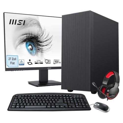 PC Hyrican MSI Pro MP273ADE, Ryzen 5, 16GB RAM, SSD