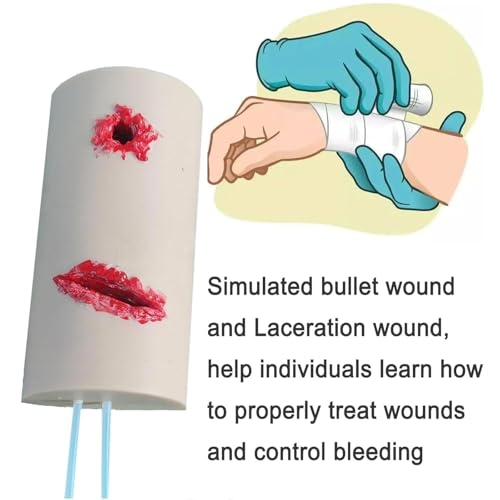 Modèle de simulateur de lacération pour arrêter le saignement et les blessures par suture - 3