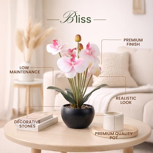 Image of Habere India-All the Cultures Fabricating India Moth Orchid Artificial Plants with Pot for Home Decor | Small Fake Flower Plants for Living Room & Indoor Decoration (Design03: L12 x W12 x H33 cm)