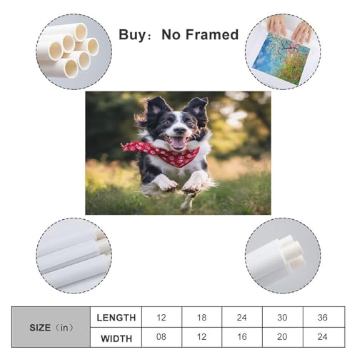 Cuadro de Border Collie para tapar imperfecciones de pared con arte 2