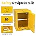 20 Gallon Flammable Storage Cabinet 24'' x 19'' x 19'' Fire Cabinets, Alloy Steel Flammable Liquid Storage Cabinet with ESD Grounding Cable and Adjustable Shelf for Industrial Garage Home Safety Use