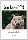 Coole Katzen Wochenkalender 2023 Wandkalender Kalender Katzenkalender mit lustigen Sprüchen und Zitaten (Wandkalender DIN A4)