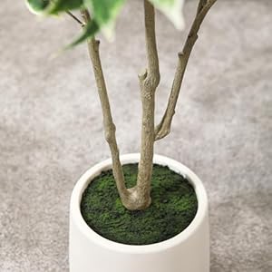 Artificial Ficus Tree, 6FT Fake Silk Ficus Plant with Planter, Indoor Faux Ficus Trees Covered Lifelike Green Moss Floor Plants for Home Office Living Room Decor and Housewarming Gifts Artificial Ficus Tree 6FT Fake Silk Ficus Plant with Planter Indoor Faux Ficus Trees Covered Lifelike Green Moss Floor Plants for Home Office Living Room Decor and Housewarming Gifts