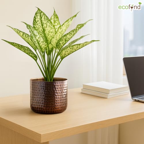 Image of ecofynd 5.5 inches Adam Metal Plant Pot, Decorative Modern Indoor Planter Flower Pots, Home Garden Decor Planter for Living Room Bedroom Interior, Pack of 1 (Copper, POT041)