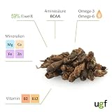 UGF grillons séchés, seau de 500 ml contenant 80 g photo 6