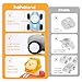 hahaland Toy Cars for Toddlers 1-3 - Push and Go Cars Musical Light up Toys for 1 Year Old Boy Gifts, Friction Powered Car Toddler Toys for One Year Old Birthday Easter Baby Boy Girls Gifts, 3 PCS