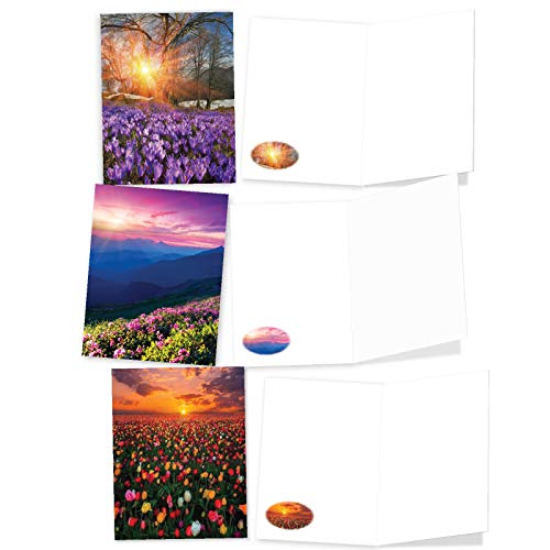 The Best Card Company - 20 Landscape Nature Note Cards Blank (4 X 5.12 Inch) (10 Designs, 2 Each) - Blooming Sunsets Am9263Ocb-B2X10 #TOP4