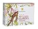 Produktbild Sonnenmoor Gurgelwasser ohne Alkohol 3x100 ml - natürliche Mundspülung zur Pflege von Hals, Rachen und Zahnfleisch