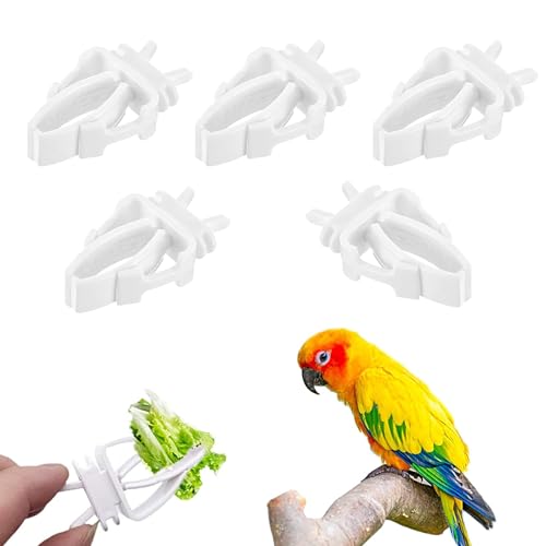 p GTpjbp[ t[hz_[ Nbv ؃z_[ 5Zbg vX`bN  a  t[c ybgt[h Nbv CR Hiz_[ IE a P[Wp IE ZLZCCR IJCR nX^[ ETM 