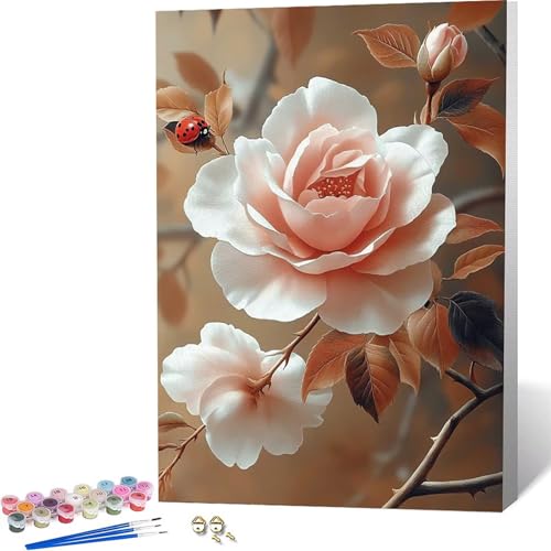 Paint by Numbers �K�N �������G �t �y�C���g�o�C�i���o�[, ��l�p�����h��G�L�����o�X�N���t�g �u���V�ƃA�N�����G�̋�� �z�[�� �I�t�B�X����, �����ւ̃M�t�g 50x65 cm -zjn2604C5