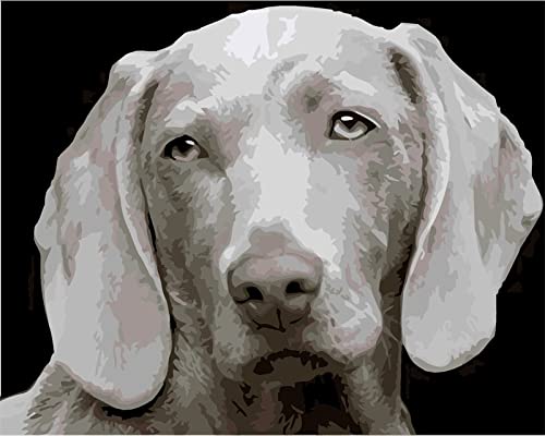 Peinture au diamant 5D cadeau créatif mosaïque levrette pour passionnés d'animaux