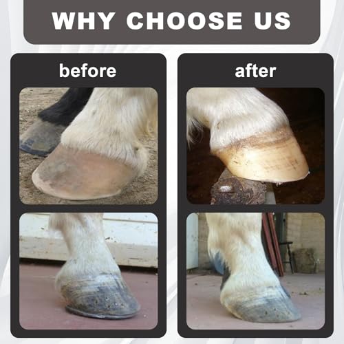 Wadoy Mini Hoof Rasp for Horses, Farrier Rasp for Goat Feet Hooves, Portable Hoof Trimming Tool, Ergonomic Grip to Removes Excess Hoof for Foals, Goats, Ponies & Donkeys Other Animals - Image 5