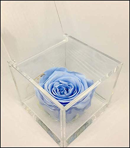 Box Tondo Con Rosa Bianca Stabilizzata E Profumata – Diametro 9 Cm, Effetto Galleggiante, Bomboniera Per Matrimonio, Comunione E Cresima – Fatto In Italia