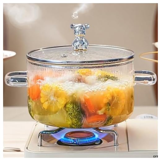 QSLKI 1.5L Pentola Di Cottura In Vetro, Pentola In Vetro Trasparente Resistente Al Calore Piano Cottura Pentola, Pentola In Borosilicato Con Doppia Maniglia Del Coperchi Per Pasta, Pasta (Orsetto)