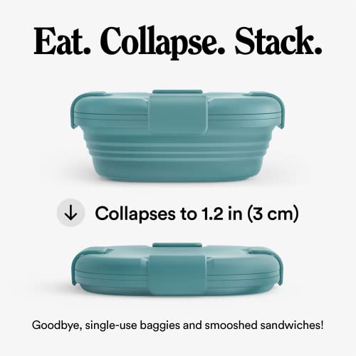 Stojo Collapsible Sandwich Box – Eucalyptus Green, 24Oz - Reusable Food Storage Container - To-Go Travel Silicone Bowl For Hot And Cold Food - For Meal Prep, Lunch, Camping And Hiking- Dishwasher Safe #TOP1
