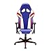 DFBGL Chaise de Jeu Chaise de Bureau Ergonomique inclinable pour Ordinateur Chaise de Bureau Chaise de Jeu-R