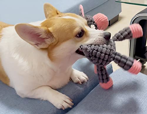 Giochi per Cani Squeak Peluche Giochi Giocattoli