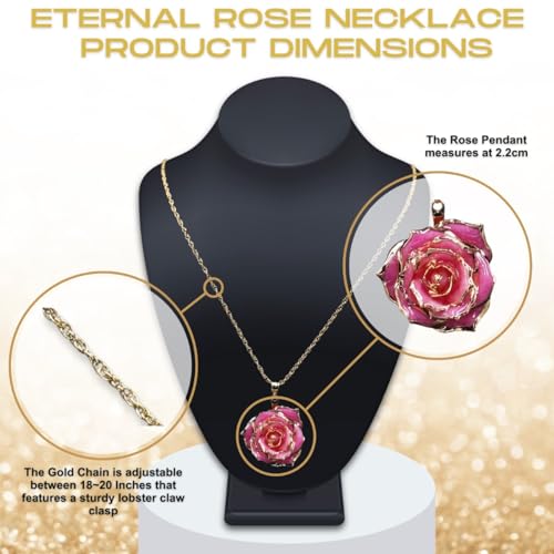 Eternal Rose Eternal Necklace 24k Gold Dipped Forever Rose Necklace4