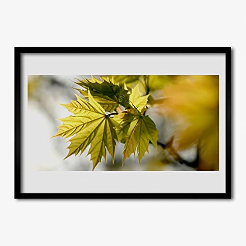 Affiche avec cadre salon et chambre Tulup 70x50 cm décor feuilles vertes
