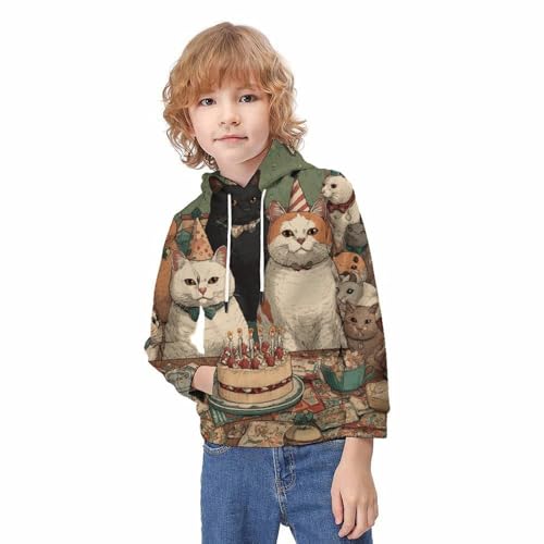 Sweat à capuche chat 3D pull manches longues garçons