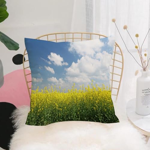 YFHJV Pillow Cover Throw Case Decor Home Living Room Couch Sofa Decorative Cushions Pillow Cover for Bedroom,Fluffy white clouds and lush yellow rapeseed fields under the clear blue sky,40x40 cm