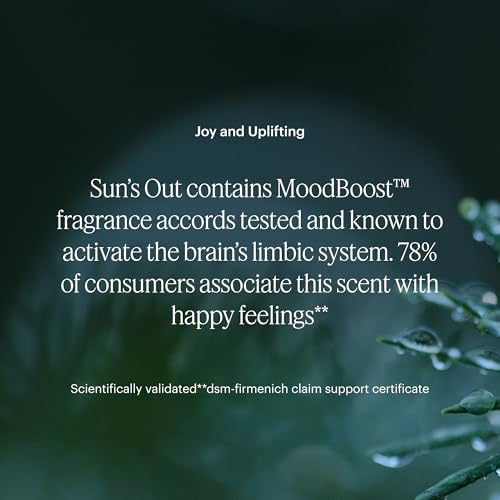 Aera Spa La La Home Fragrance Scent Refill - Notes of Peppermint and Rosemary - Works with The Aera Diffuser - Image 4