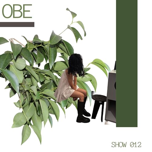 012. The Essential Mix by Sonic (SA)