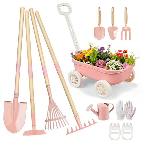 View 2