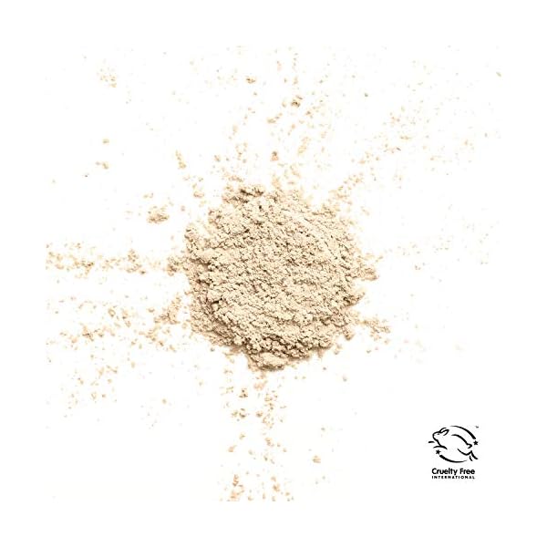 COVERGIRL-truBLEND-Minerals-Loose-Powder-Translucent-Fair-63-oz COVERGIRL truBLEND Minerals Loose Powder Fair, .63 oz