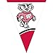 Creative Converting University of Wisconsin Plastic Flag Banner, 9-Feet