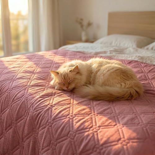 o-day Renato Balestra Frühlings-Steppdecke für Doppelbett, hergestellt in Italien, aus weichem Polyester, Sommer-Tagesdecke, einfarbig (Puder, Doppelbett 255 x 245 cm)