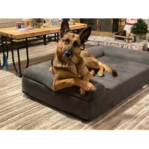 Big Barker 7" Orthopedic Dog Bed Sofa Edition - Dog Beds for Large Dogs Made with OrthoMedic Foam - Charcoal Gray, XL - Supports Joints, Boosts Quality of Life, and Better Rest, Made in USA Big Barker 7 Orthopedic Dog Bed Sofa Edition Dog Beds for Large Dogs Made with OrthoMedic Foam Charcoal Gray XL Supports Joints Boosts Quality of Life and Better Rest Made in USA