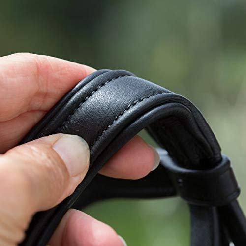 Kieffer - Dobladillo para caballo (muy suave, con perlas y nuca acolchada), color negro, Extra Warmblut