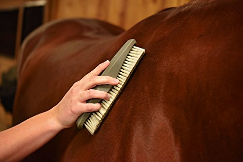 Wahl Professional Animal Equine Soft Body Horse Brush (#858704), Black #TOP3